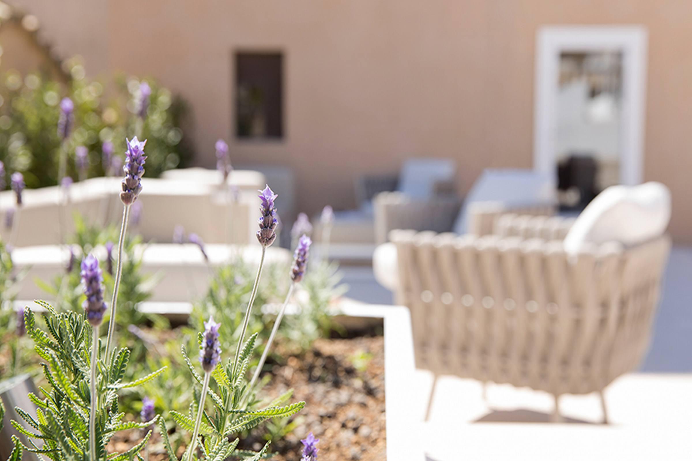 Hotel Convent De La Missio - Grand Luxury Boutique Hotel, Adults Only Palma